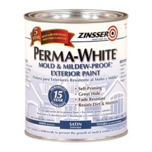 White Exterior Paint